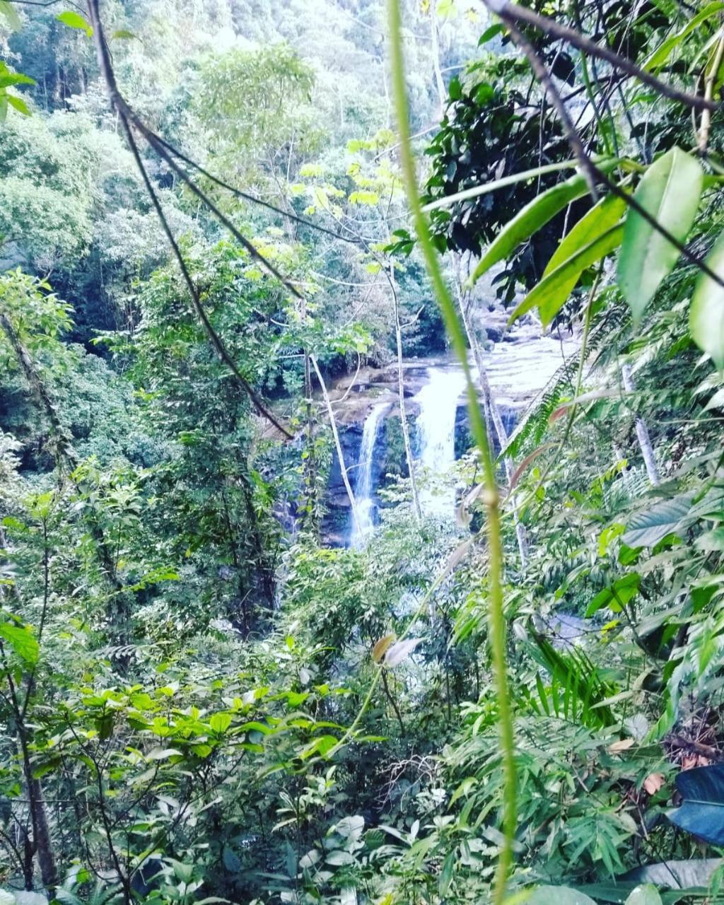 Pousada Da Cachoeira Taquari Araquari Exterior foto